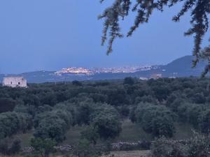 CasaOltreMare Puglia Mare, Relax e Tradizione