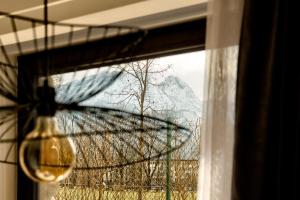 Apartament na Równi