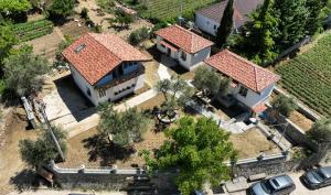 Villa Dario Guesthouse