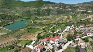 Villa Dario Guesthouse