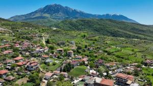 Villa Dario Guesthouse