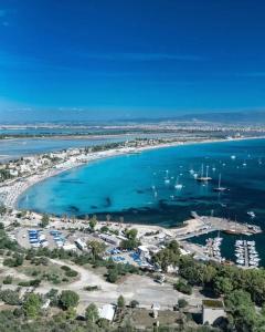 Colombo Palace - viale colombo 358 img4