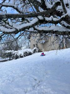 Villas Villa Eleno, au coeur de la region des lacs du Jura : photos des chambres