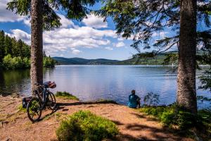 Apartment "Blackforest", Todtnau, 5 Schlafzimmer