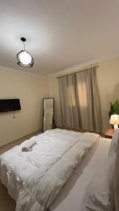 2 BR apartment near airport