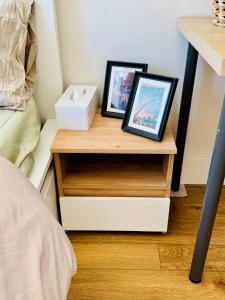 Urban Garden Hideaway