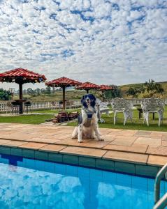 Pousada Sons do Silêncio