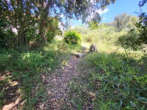 Villas Lantana : photos des chambres
