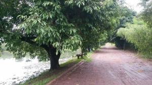 Rancho Paturis da Nil