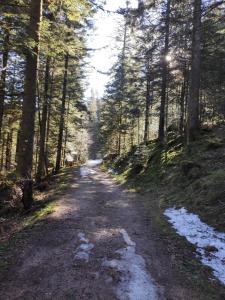 Chalets Chalet Paradis, panoramic view, garden & terrace : photos des chambres