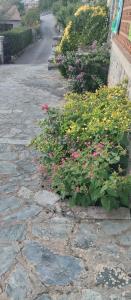 Villa en pierre de taille