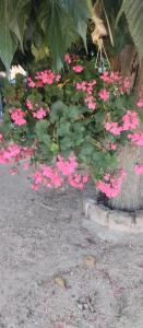 Villa en pierre de taille