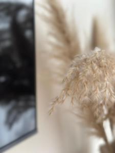 Poilsis Kunigiškiuose