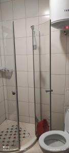 Gondola area, Cedar Lodge 4, apart D30, Bansko