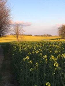 Lovely Holiday Home With Fantastic View On Femø