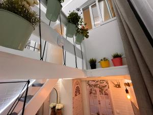 Mini Duplex4 plaza mayor