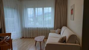 Lucerne Apartment Mount Pilatus