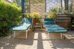 Fattoria dei Piani srl img63