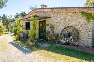 Fattoria dei Piani srl img64