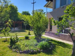 Apartmani Eli SA DVORIŠTEM