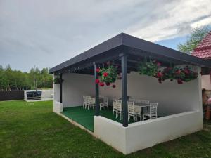 Pensiunea Fira