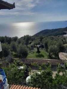 Guesthouse Mili