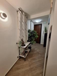 Cattedrale Superior Room plus Terrace Palermo