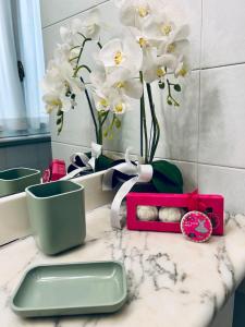 Casa San Pietro Rome Vatican