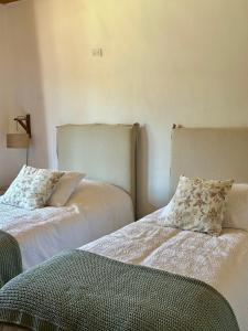 Casa Antigua Bed and Breakfast