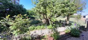 Grande maison de campagne 4 chambres doubles jardin