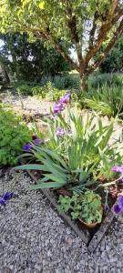 Grande maison de campagne 4 chambres doubles jardin