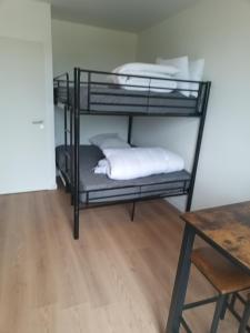 Studio 2 à 4 personnes, 12 kilomètres du parc du Puy du F