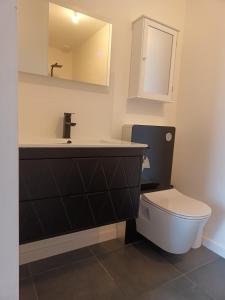 Studio 2 à 4 personnes, 12 kilomètres du parc du Puy du F