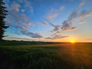 Spacious & Cozy Apartment in Tranquil Vejle Suburb