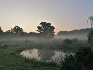 Po šimtamečiais ąžuolais