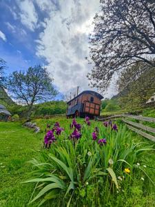 Chalets Roulotte Gentiane : photos des chambres