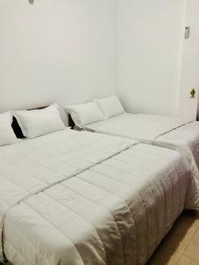 PEONY luxury Homestay - Anuradhapura