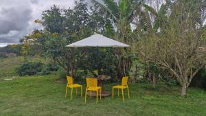 Casas perto cervejaria 3 Santas