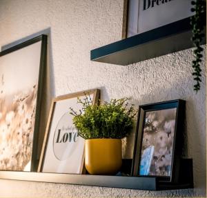 Appartements T2 centre ville, 150m du lac, parking - Thermes : photos des chambres