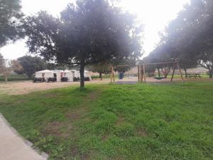 MIRTO E ROSMARINO img39