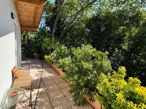 Il podere degli ulivi