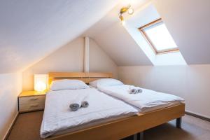 Apartmány Elzet