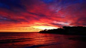 Casa-jungle Jacuzzi & Sauna Bord de mer