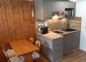 Grand Studio 25 m2, lumineux, central, vue Mont-Blanc