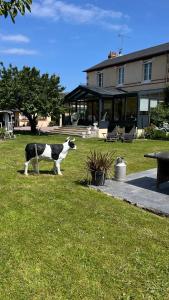 B&B / Chambres d'hotes VILLA CATHY Chambres d hotes : photos des chambres