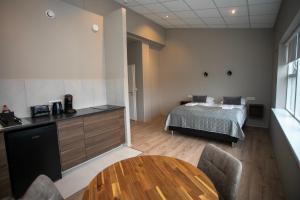 Queen Studio room in Skyjaborg Apartments