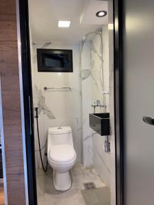 Shallor Cryss Miguel Lillo