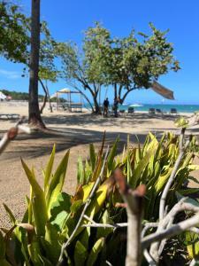 Beautiful apartment in Playa Dorada