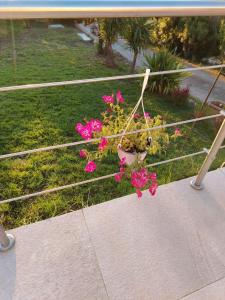 casetta Ludo&Fili img56