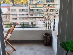 Rbk° Nuevo Studio con Terraza en Club Hípico